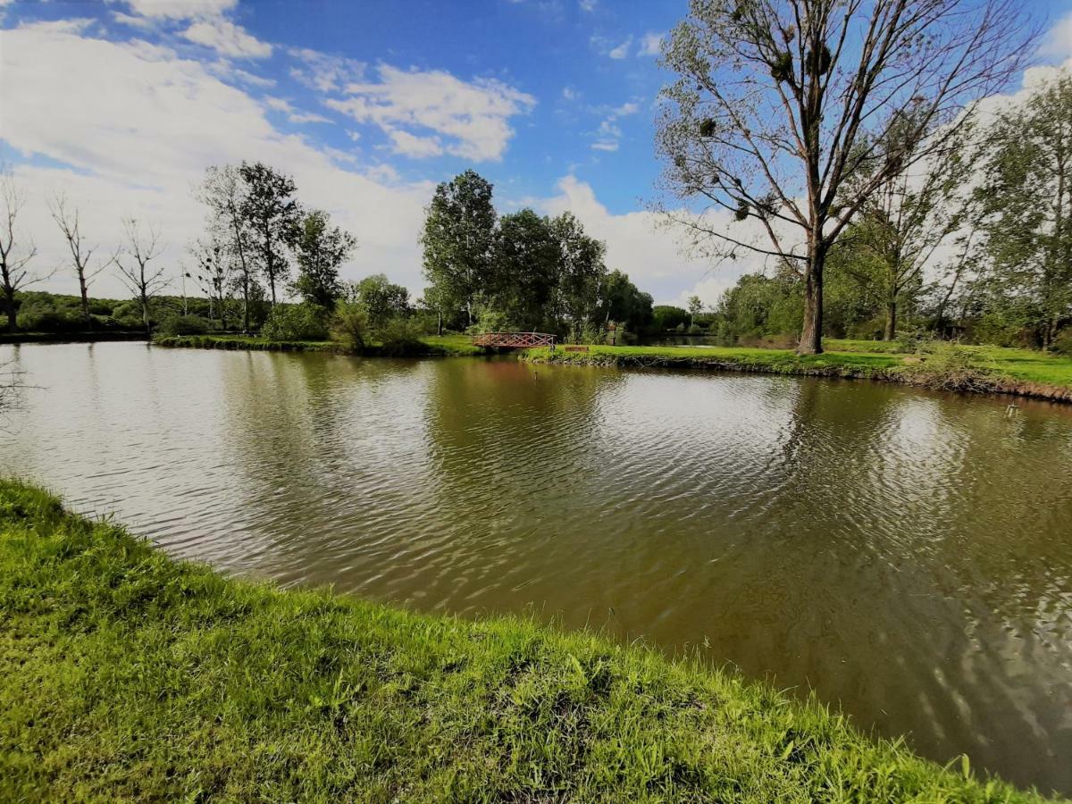 Ligetalja Termal Hotel Peneszlek Bagian luar foto